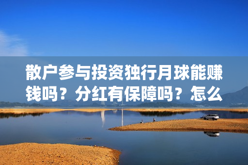 散户参与投资独行月球能赚钱吗？分红有保障吗？怎么确保份额真实？(散户能成为股东吗)