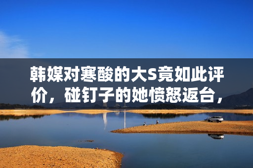 韩媒对寒酸的大S竟如此评价，碰钉子的她愤怒返台，娃甩给杨阿姨