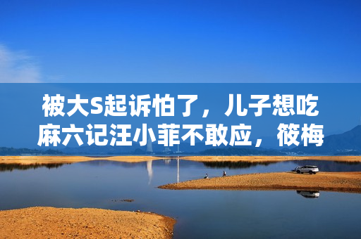 被大S起诉怕了，儿子想吃麻六记汪小菲不敢应，筱梅一招化解尴尬