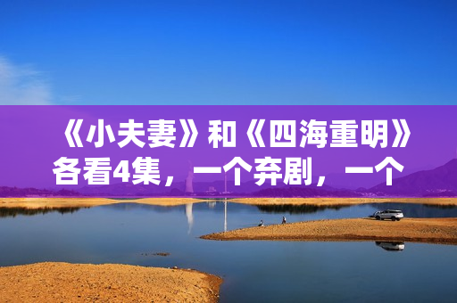 《小夫妻》和《四海重明》各看4集，一个弃剧，一个追到底