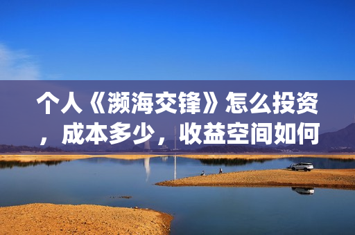 个人《濒海交锋》怎么投资，成本多少，收益空间如何？(濒海交锋是哪家公司出品)
