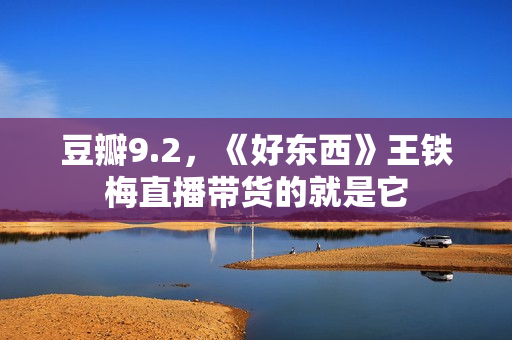 豆瓣9.2，《好东西》王铁梅直播带货的就是它