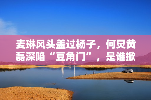 麦琳风头盖过杨子，何炅黄磊深陷“豆角门”，是谁掀起全民骂战？