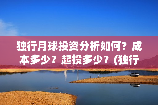 独行月球投资分析如何？成本多少？起投多少？(独行月球电影什么时候开机)
