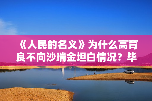 《人民的名义》为什么高育良不向沙瑞金坦白情况？毕竟他是一把手