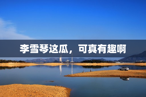 李雪琴这瓜，可真有趣啊