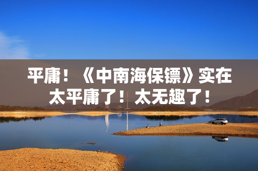 平庸!《中南海保镖》实在太平庸了!太无趣了! 平庸!《中南海保镖》实在太平庸了!太无趣了!
