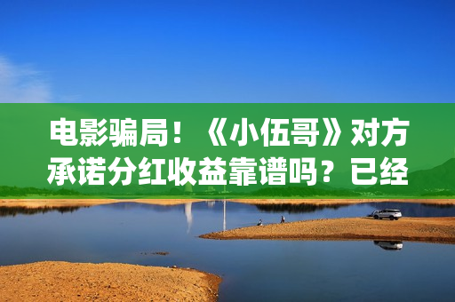 电影骗局！《小伍哥》对方承诺分红收益靠谱吗？已经合同认购可以追回吗？——抵制耐克(骗局改编电影)