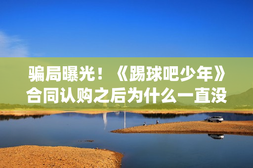 骗局曝光！《踢球吧少年》合同认购之后为什么一直没有上映？这是骗局吗？——抵制耐克(踢踹要害)