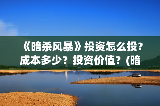 《暗杀风暴》投资怎么投？成本多少？投资价值？(暗杀风暴在线观看)