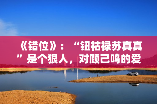 《错位》:“钮祜禄苏真真”是个狠人,对顾己鸣的爱,一言难尽 《错位》:“钮祜禄苏真真”是个狠人,对顾己鸣的爱,一言难尽