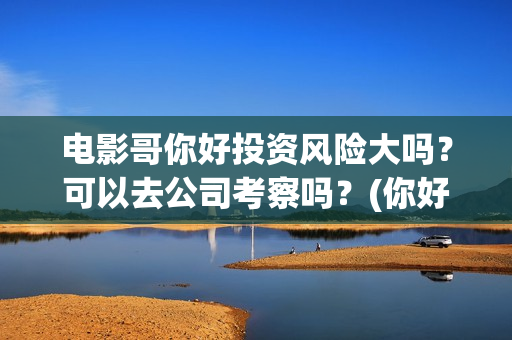 电影哥你好投资风险大吗？可以去公司考察吗？(你好哥哥)