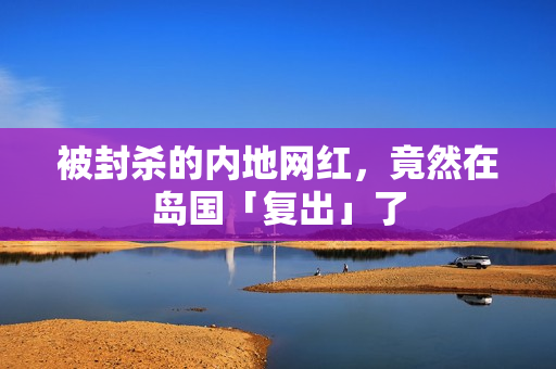 被封杀的内地网红，竟然在岛国「复出」了