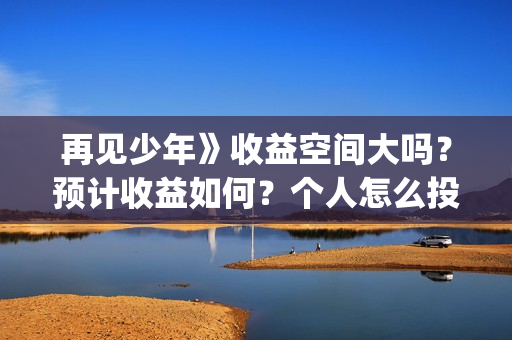 再见少年》收益空间大吗？预计收益如何？个人怎么投资(再见少年总投资是多少)