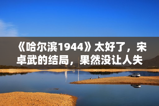 《哈尔滨1944》太好了，宋卓武的结局，果然没让人失望