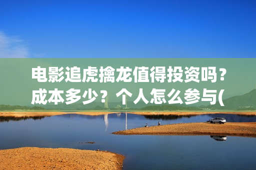 电影追虎擒龙值得投资吗？成本多少？个人怎么参与(电影《追虎擒龙》)