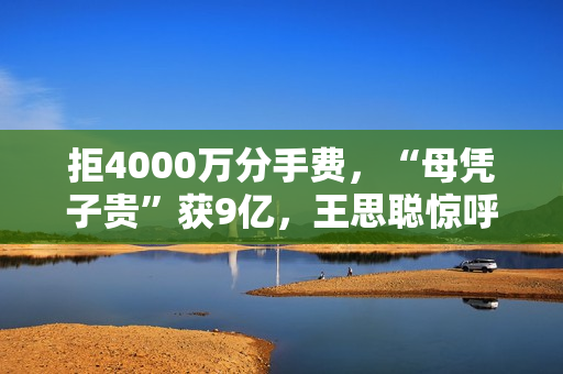 拒4000万分手费，“母凭子贵”获9亿，王思聪惊呼她才是高端玩家