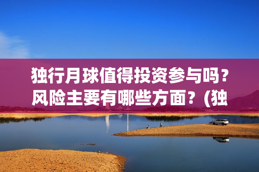 独行月球值得投资参与吗？风险主要有哪些方面？(独行月球投资成本)