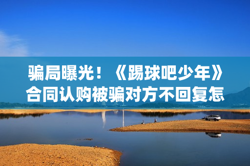 骗局曝光！《踢球吧少年》合同认购被骗对方不回复怎么办？怎么追回资金？——抵制耐克(网络上说的踢踢什么意思)