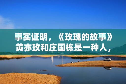 事实证明，《玫瑰的故事》黄亦玫和庄国栋是一种人，但后者更自私