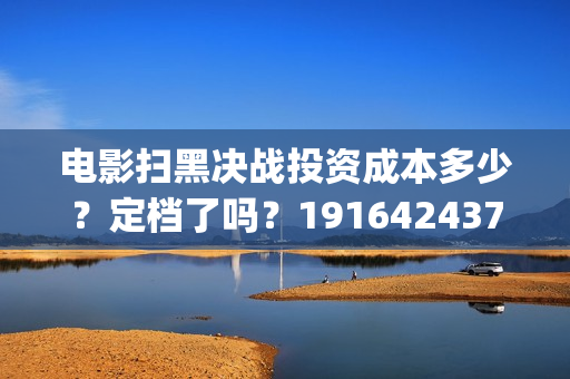 电影扫黑决战投资成本多少？定档了吗？19164243723(扫黑·决战电影)