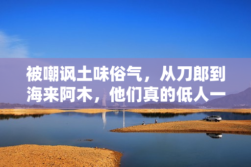 被嘲讽土味俗气，从刀郎到海来阿木，他们真的低人一等吗？
