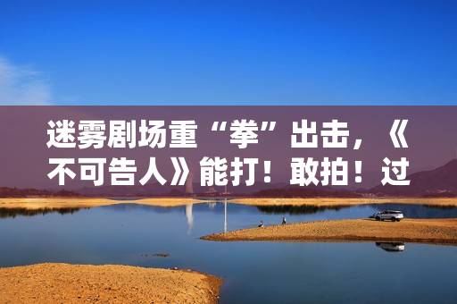 迷雾剧场重“拳”出击，《不可告人》能打！敢拍！过瘾！