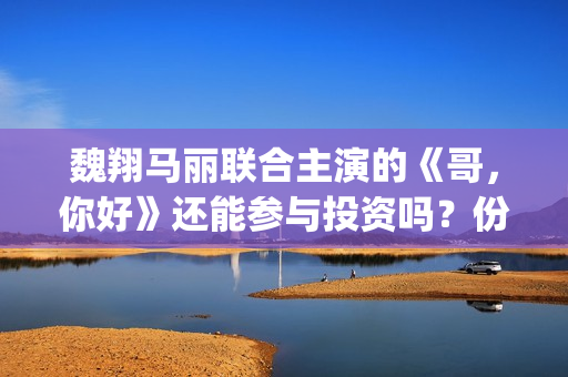 魏翔马丽联合主演的《哥，你好》还能参与投资吗？份额什么时候截止？(魏翔的女搭档是谁)