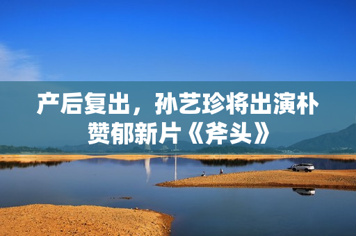 产后复出，孙艺珍将出演朴赞郁新片《斧头》