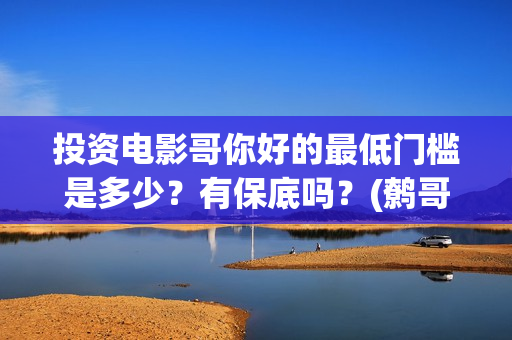 投资电影哥你好的最低门槛是多少？有保底吗？(鹩哥你好教材)