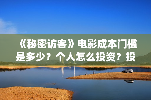 《秘密访客》电影成本门槛是多少？个人怎么投资？投资有保障吗？(《秘密访客》电影演员表)