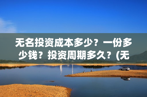 无名投资成本多少？一份多少钱？投资周期多久？(无名创投)