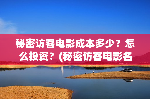 秘密访客电影成本多少？怎么投资？(秘密访客电影名)
