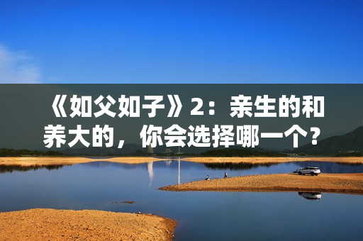 《如父如子》2：亲生的和养大的，你会选择哪一个？