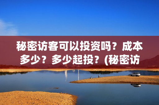 秘密访客可以投资吗？成本多少？多少起投？(秘密访客害怕么)
