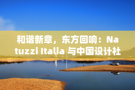 和谐新章，东方回响：Natuzzi Italia 与中国设计社群的深度对话(和谐hxn)