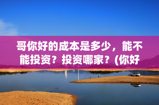 哥你好的成本是多少，能不能投资？投资哪家？(你好哥哥语音)