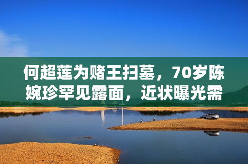何超莲为赌王扫墓,70岁陈婉珍罕见露面,近状曝光需两人搀扶上山 何超莲为赌王扫墓,70岁陈婉珍罕见露面,近状曝光需两人搀扶上山