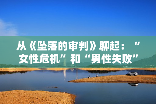 从《坠落的审判》聊起：“女性危机”和“男性失败”