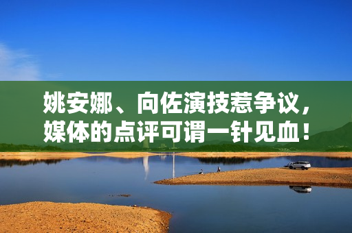 姚安娜、向佐演技惹争议，媒体的点评可谓一针见血！