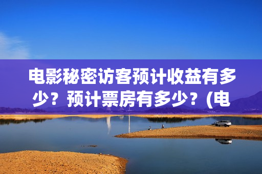 电影秘密访客预计收益有多少？预计票房有多少？(电影秘密访客预告片视频)