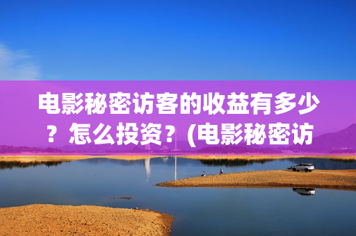 电影秘密访客的收益有多少？怎么投资？(电影秘密访客的内容)
