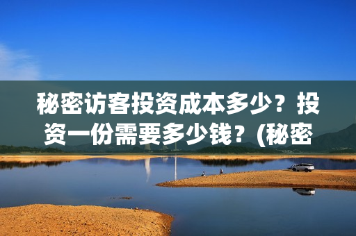 秘密访客投资成本多少？投资一份需要多少钱？(秘密访客投资门槛高吗?)