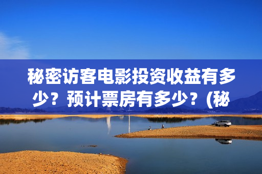 秘密访客电影投资收益有多少？预计票房有多少？(秘密访客1080p)