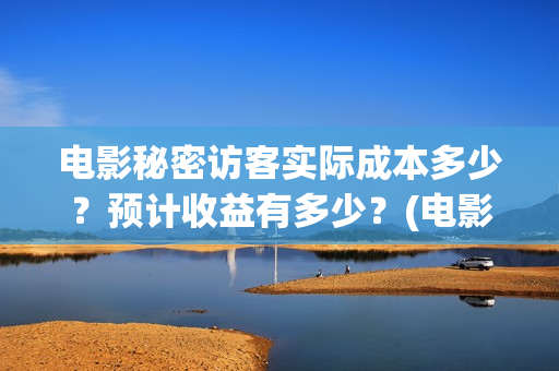 电影秘密访客实际成本多少？预计收益有多少？(电影秘密访客的真相)