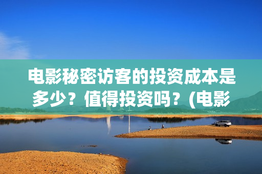 电影秘密访客的投资成本是多少？值得投资吗？(电影 秘密访客)