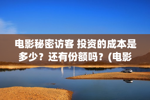 电影秘密访客 投资的成本是多少？还有份额吗？(电影秘密访客故事简介)