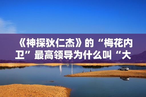 《神探狄仁杰》的“梅花内卫”最高领导为什么叫“大阁领”？