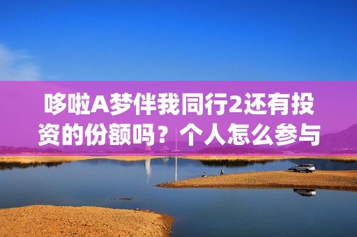 哆啦A梦伴我同行2还有投资的份额吗？个人怎么参与？(哆啦a梦伴我同行)