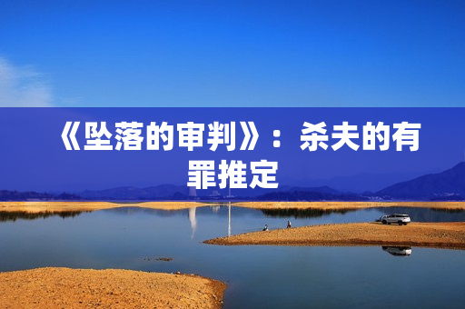 《坠落的审判》:杀夫的有罪推定 《坠落的审判》:杀夫的有罪推定